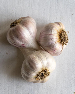 Garlic Sale - Spanish Roja